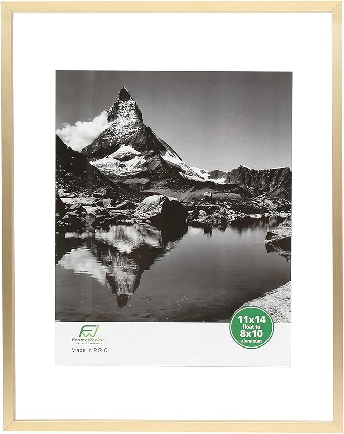FrameWorks 11”x14” Deluxe Brass Gold Aluminum Contemporary Style Floating Picture Frame with ... | Amazon (US)