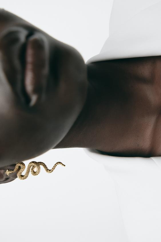 SNAKE EARRINGS | Zara US