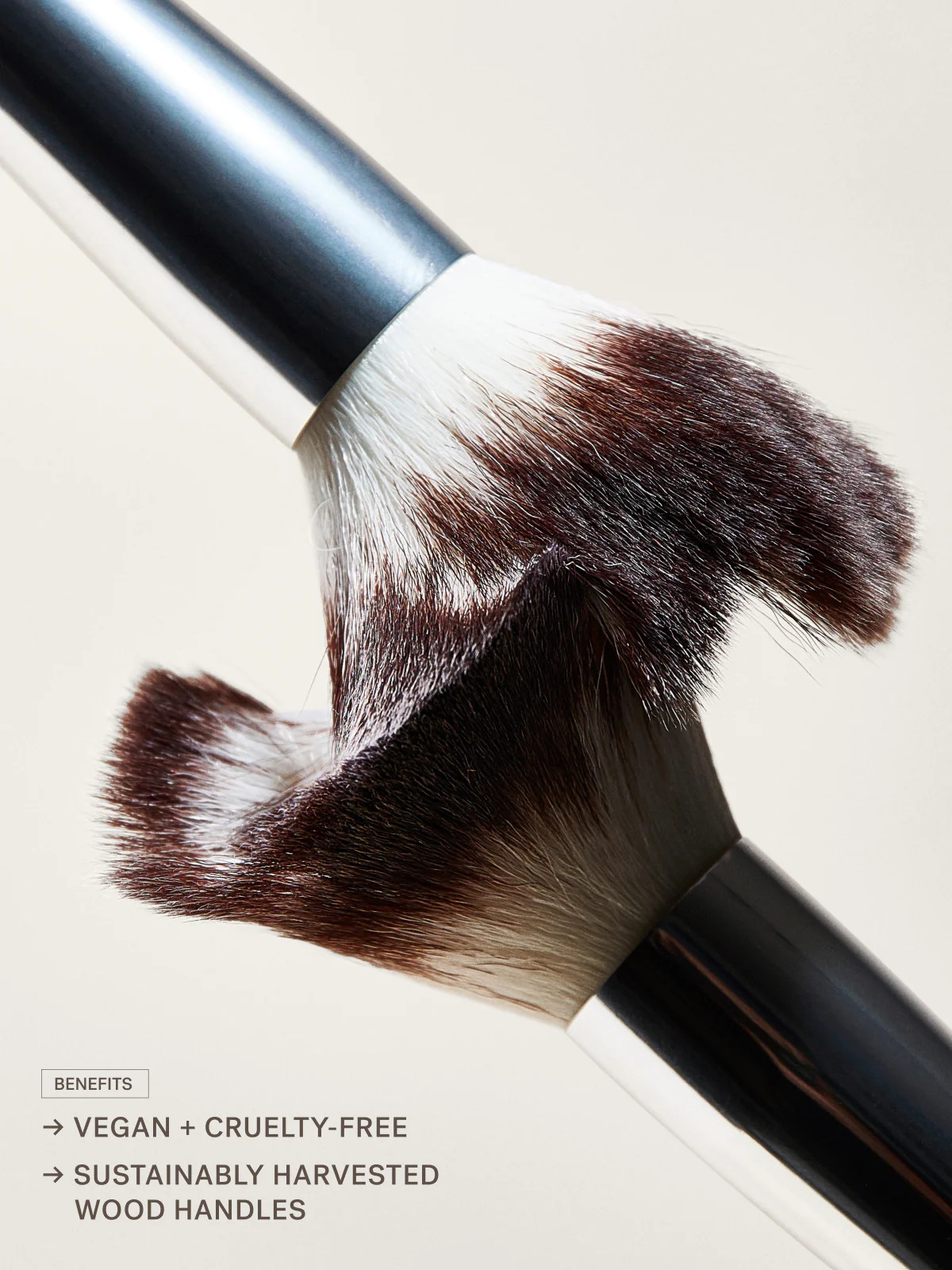 The Brush Edit | ILIA Beauty