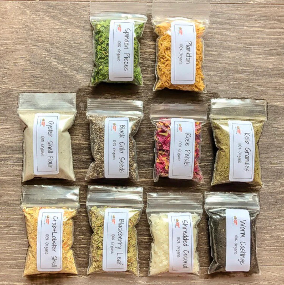 10 Piece Set | Hermit Crab Food - Etsy | Etsy (US)