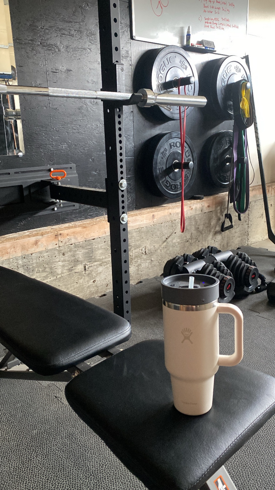 The narwhal speaker lid is the PERFECT addition to an afternoon jam sesh.. I mean sweet sesh 🤪
•
•
•
#bluetoothspeaker #waterproofspeaker #travelessential #beachessential #gymessential #workoutessentials 

#LTKFitness #LTKFindsUnder50 #LTKTravel