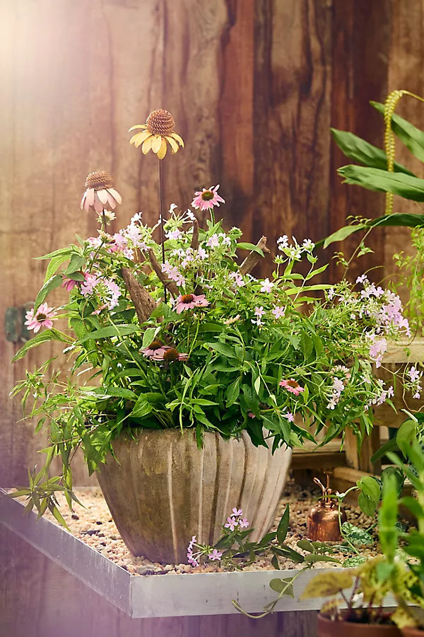 Ribbed Terracotta Low Taper Pot | Anthropologie (US)