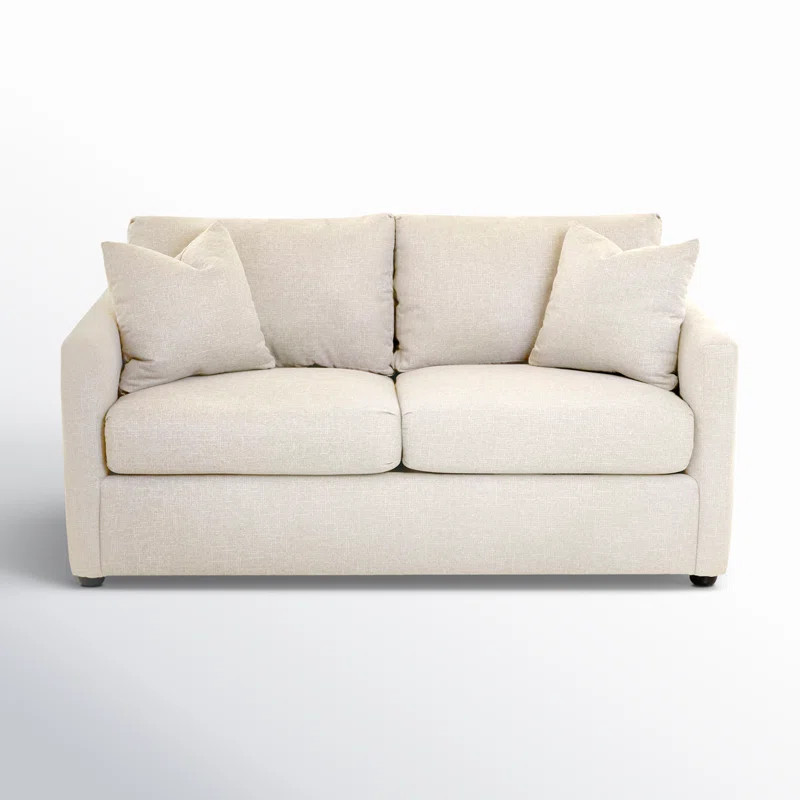 Godwin 67'' Upholstered Sleeper Sofa | Wayfair North America