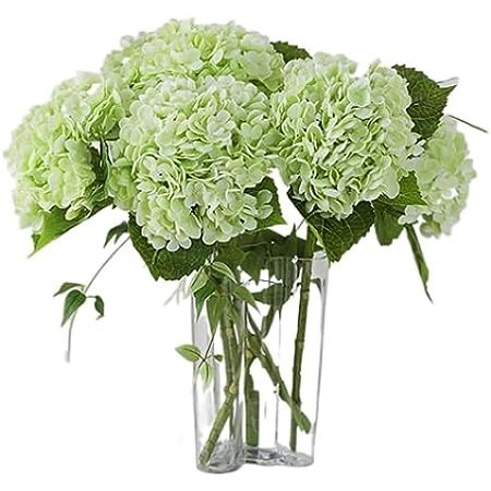 RUZUQE Yalzone 3 Pcs 21In Artificial Light Green Hydrangea Natural Lifelike Real Touch Faux Large... | Amazon (US)