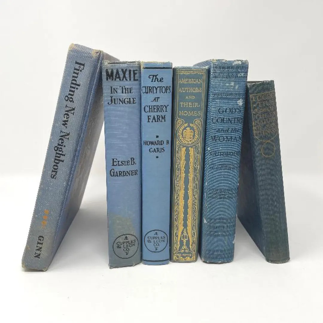Random Books of Blue Vintage and Antique Books That Are Published Between 1800-1960, Shades of Bl... | Etsy (US)