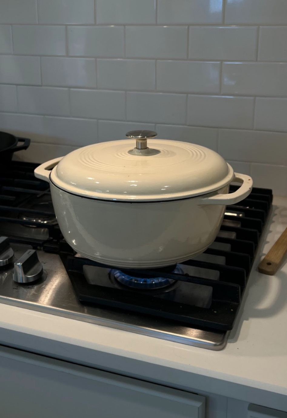 One of my favorite and most used dishes


Kitchen decor, kitchen dishes, pots, cooking, cast iron, soup, dutch oven, neutral kitchen, home decor

#LTKHome #LTKFindsUnder100 #LTKFamily