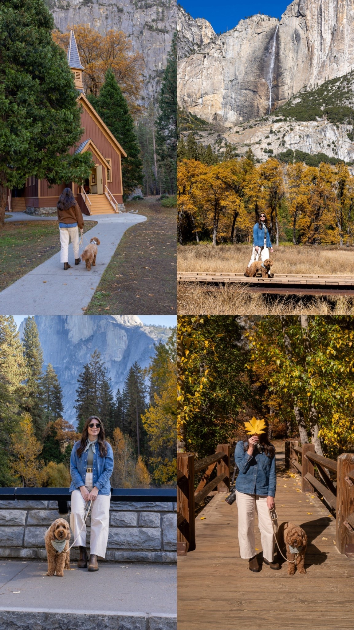 Yosemite Fall Fit 

#LTKTravel #LTKSeasonal