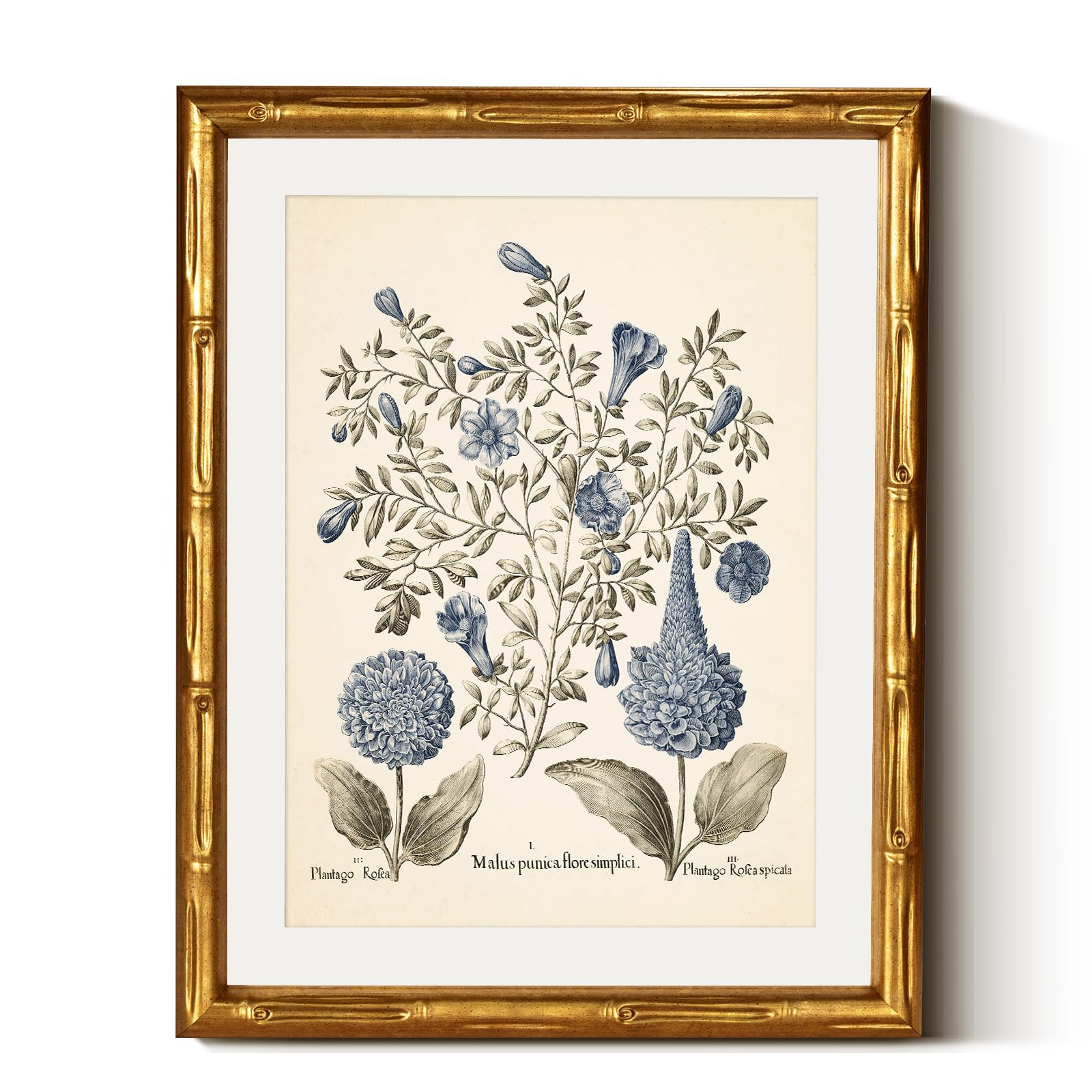 Amazon.com: InSimSea Gold Bamboo Framed Canvas Wall Art, Retro Blue Hydrangea Botanical Prints, Antique Flowers Picture Frame with Mat, Victorian Home Wall Decor for Kitchen Living Room Bedroom, 11x14inch: Posters & Prints | Amazon (US)