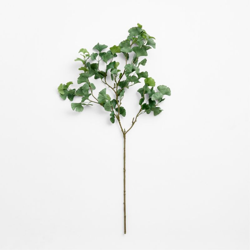 Faux Green Ginkgo Branch 51" | Crate & Barrel | Crate & Barrel