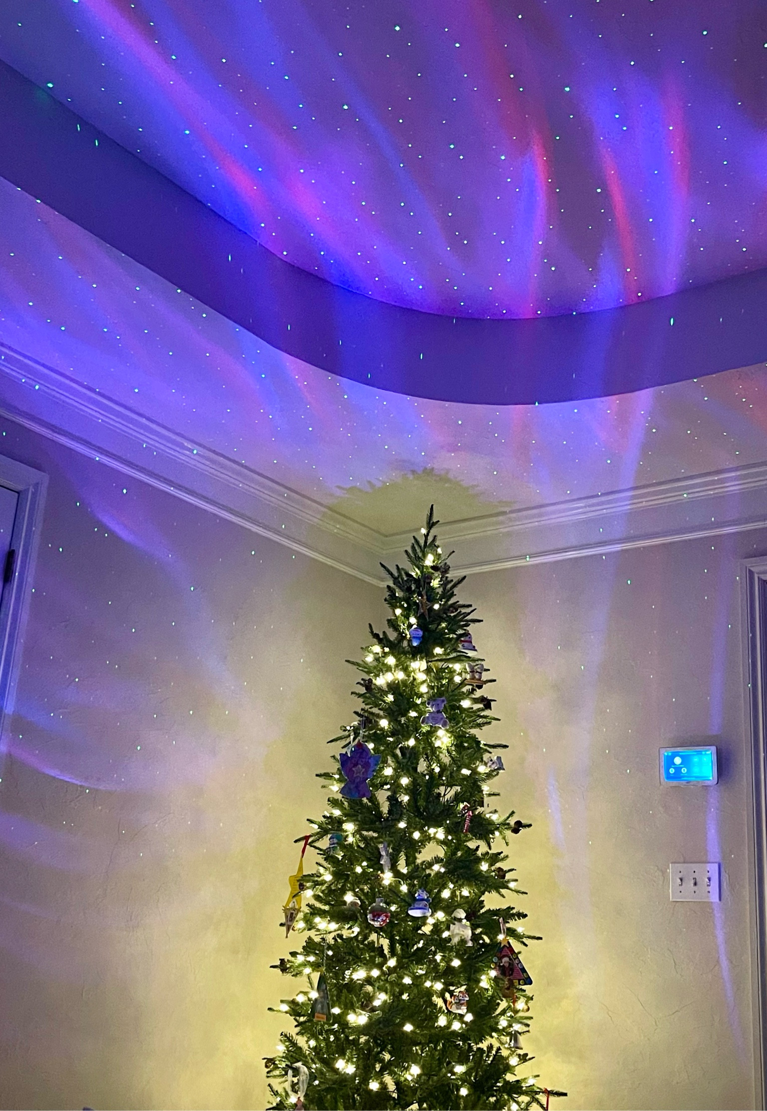 The best light show projector which is also a Bluetooth speaker! If it’s for a small area one will be good but if you have a bigger room, I recommend one for each nightstand to cover the whole room. 

#LTKkids #LTKparties #LTKhome