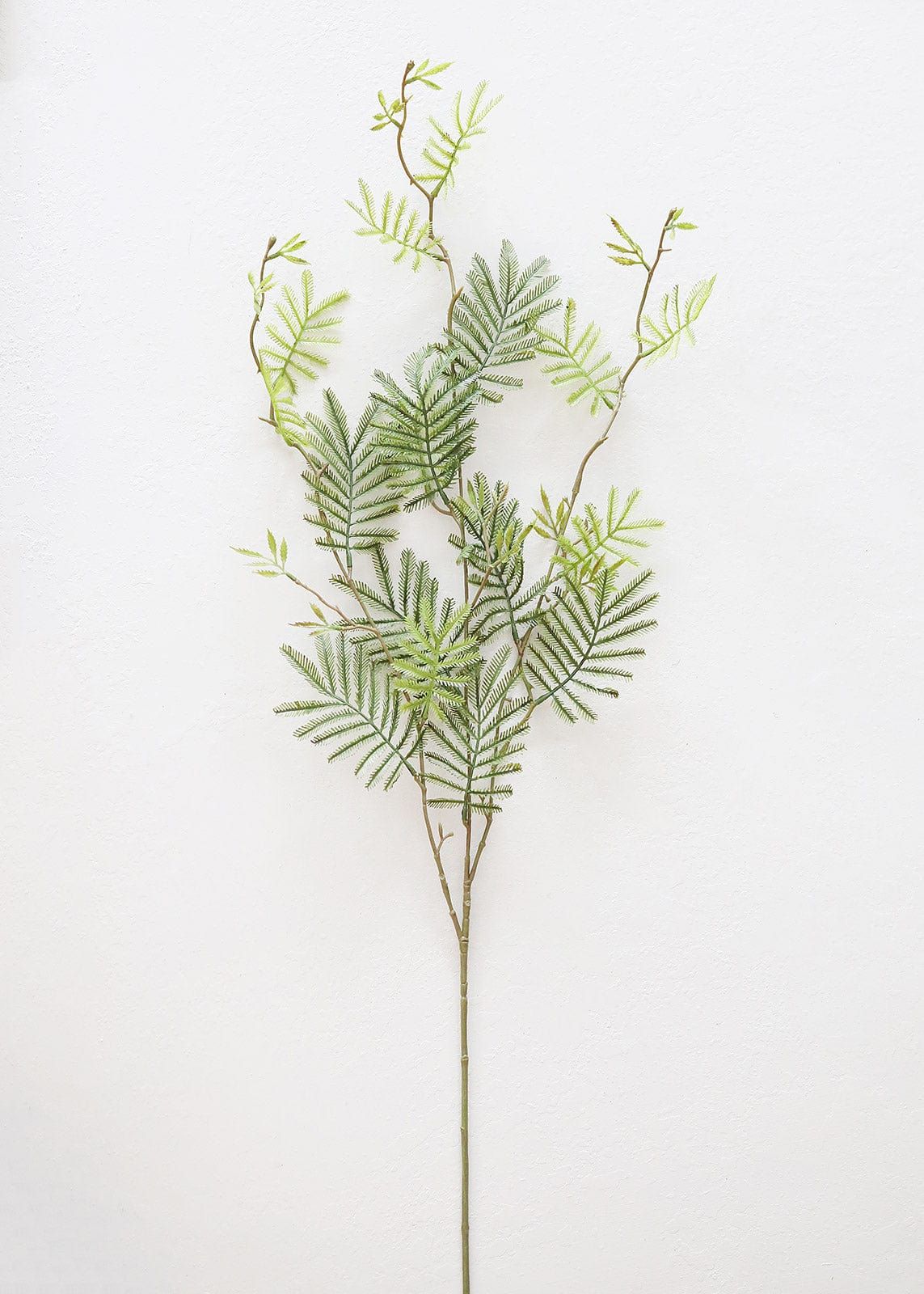 Green Mimosa Leaf Branch | Artificial Tropical Leaves at Afloral.com | Afloral
