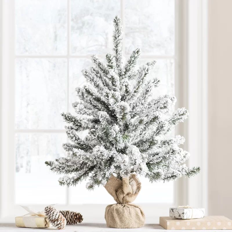 Flocked Anoka Pine 2' Pine Christmas Tree | Wayfair North America