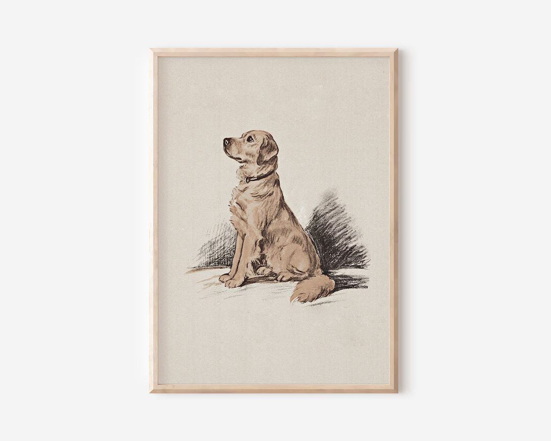 Dog Portrait Vintage Sketch Wall Art Yellow Labrador - Etsy Canada | Etsy (CAD)