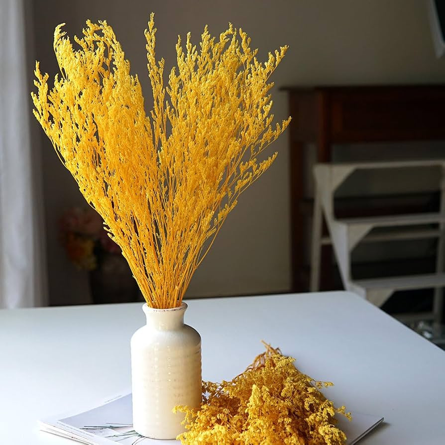 Preserved Caspia Limonium Flower,Sea Lavender,Immortal Grass((Yellow) | Amazon (US)