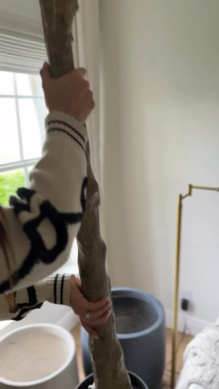 Amazon Living Room Decor

#homedecor #livingroomdecor #livingroomfurniture #livingroomstyle #organicmodern #amazonhome

#LTKHome #LTKStyleTip #LTKVideo