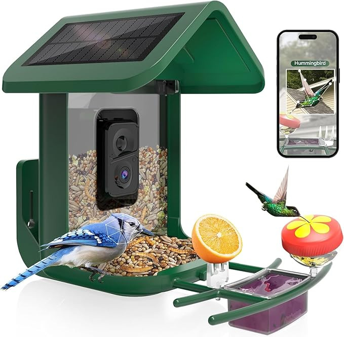 Bird Feeder with Camera Solar Powered : Smart Camera Bird Feeder 2K Live Feed Cam for Backyard - ... | Amazon (US)