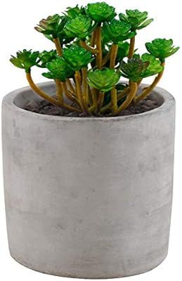 Miniature 4-Inch Round Flower Plant Clay Planter Pot, Gray | Amazon (US)