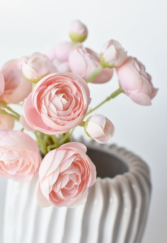 10" Pale Pink Ranunculus Bundle | Etsy (US)