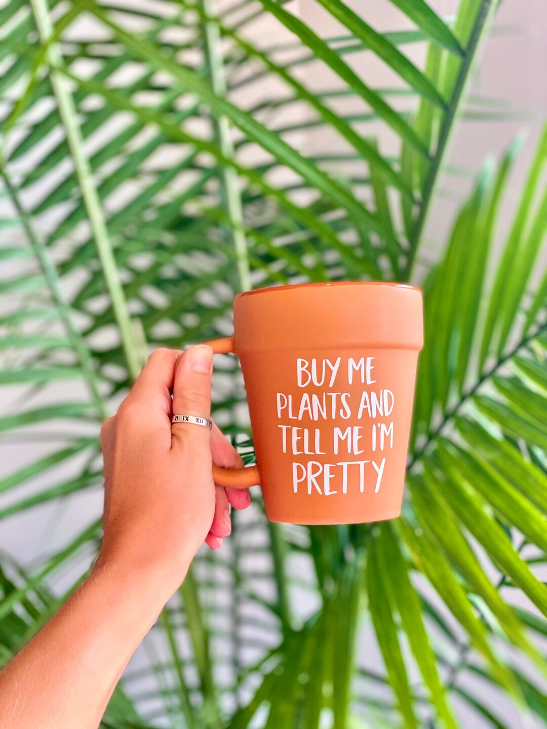 Buy Me Plants and Tell Me Im Pretty Terra-cotta Flower Pot - Etsy | Etsy (US)