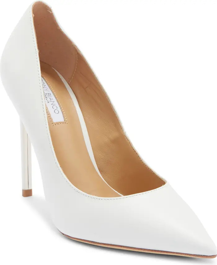 Anja Pointed Toe Pump (Women) | Nordstrom