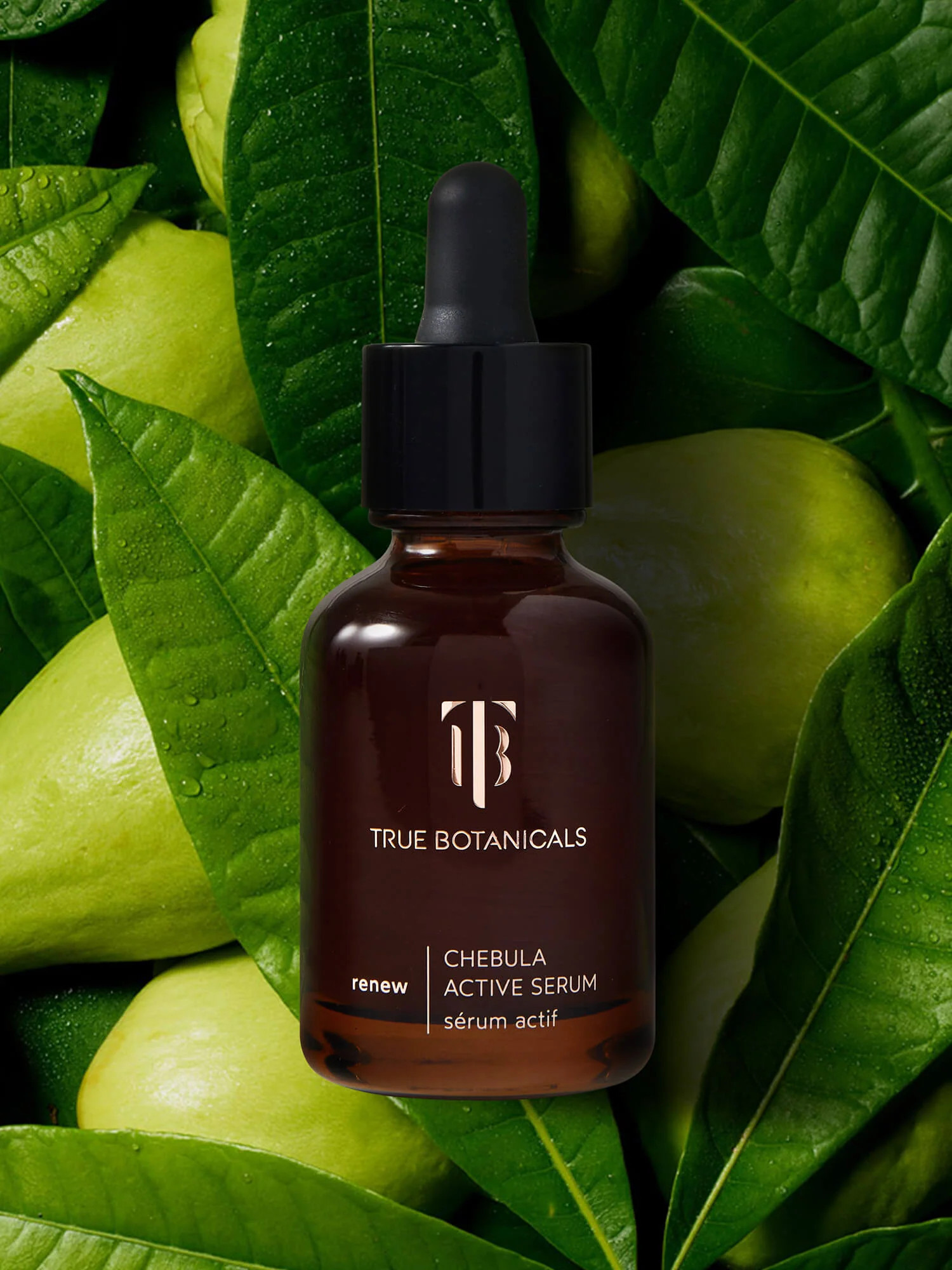 Renew Chebula Active Serum | True Botanicals