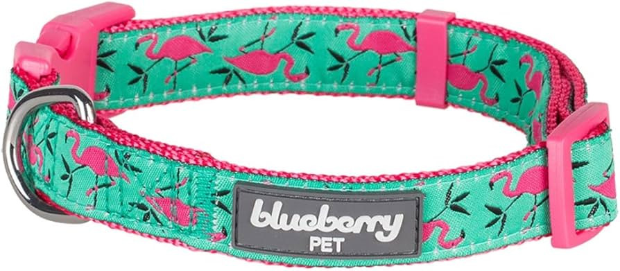 Blueberry Pet Essentials 10 Patterns Pink Flamingo on Light Emerald Adjustable Dog Collar, X-Smal... | Amazon (US)