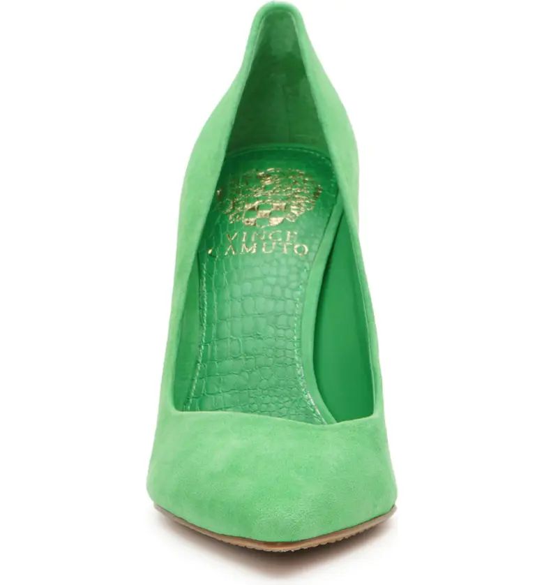 Vince Camuto Akenta Pointed Toe Pump | Nordstrom | Nordstrom