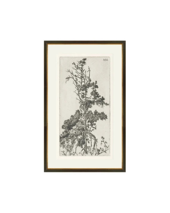 FRAMED. Trees Etching 4. Etching Tree Print. Trees Wall Art. - Etsy | Etsy (US)