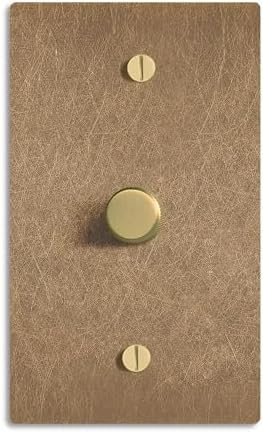 Select 1‑Gang Solid Brass Rotary Dimmer Switch, Vintage Brass Finish, 120V 1A Wall Mount, TRIAC... | Amazon (US)