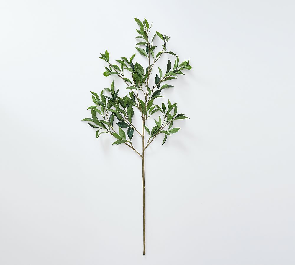 Faux Bay Leaf Branch, Large, Green | Pottery Barn (US)
