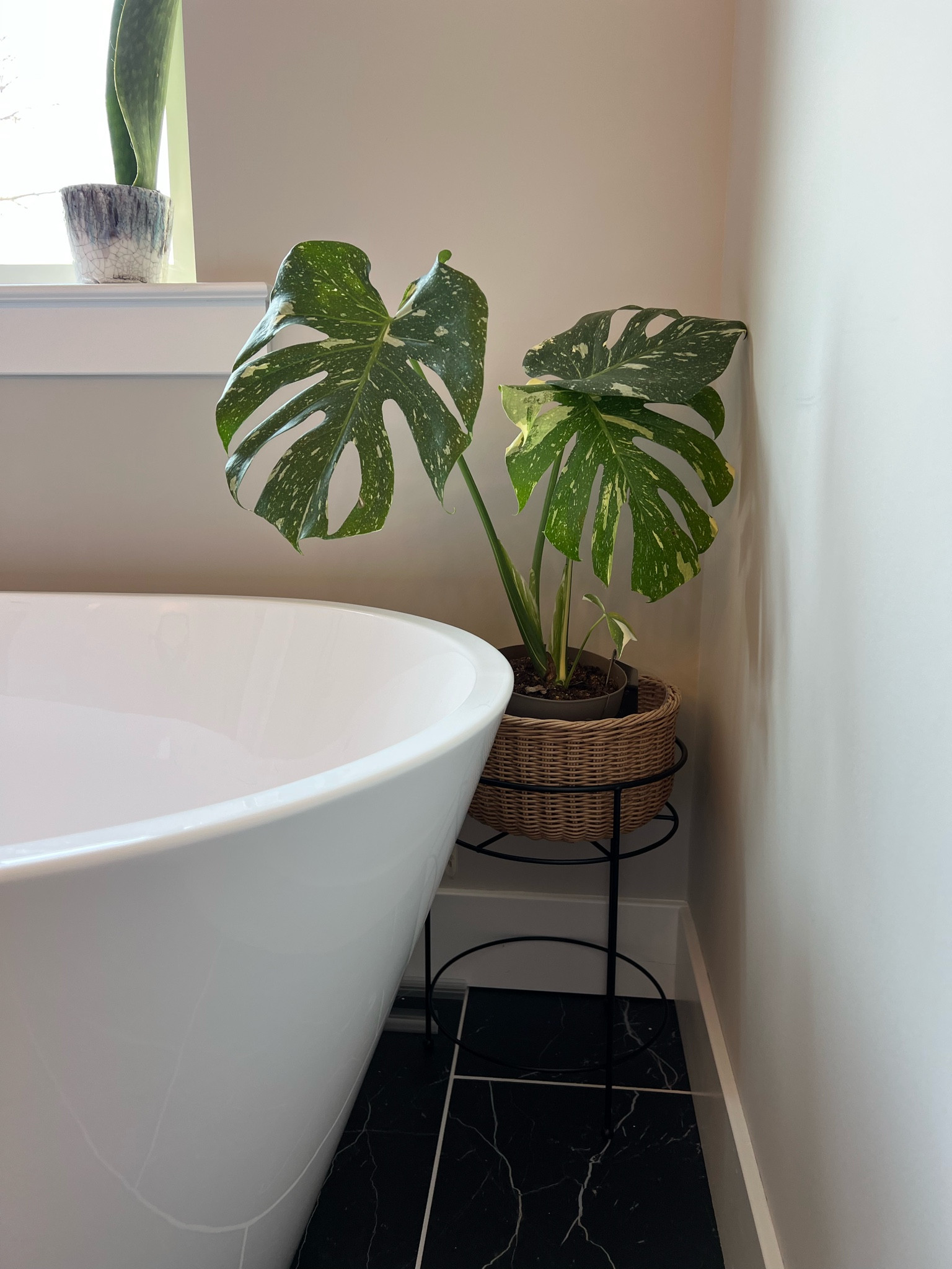 Some things I have bought from Target and loved 🤍 #target