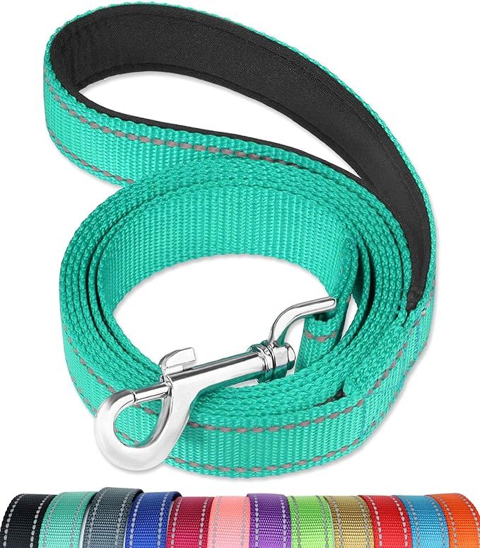 FunTags 6FT /4FT Reflective Nylon Dog Leash with Soft Padded Handle for Training,Walking Lead for... | Amazon (US)