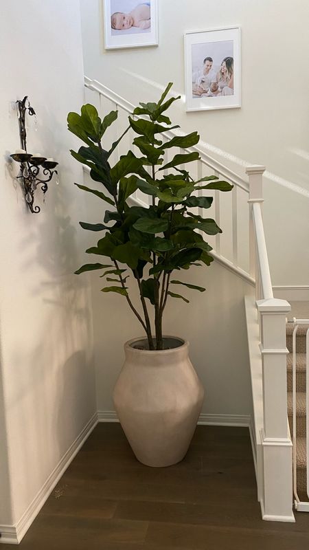 Entryway foyer large planter and fiddle leaf tree 🏠 Our foyer has very high ceilings and needed something large to fill in the space. This planter and faux fiddle leaf tree did the trick! Pot is in the color sand 

Home decor, entryway decor, large indoor planter, faux fiddle leaf tree, Crate & Barrel, Amazon home, foyer decor, large planter pot

#LTKhome #LTKfindsunder100 #LTKSpringSale