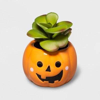 Halloween Orange Jack-O'-Lantern Succulent - Hyde & EEK! Boutique™ | Target