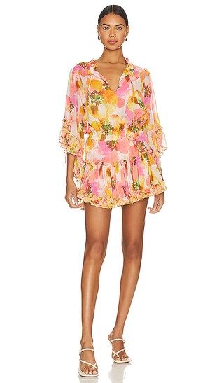 Ximena Dress in Golden Poppy Mix | Revolve Clothing (Global)