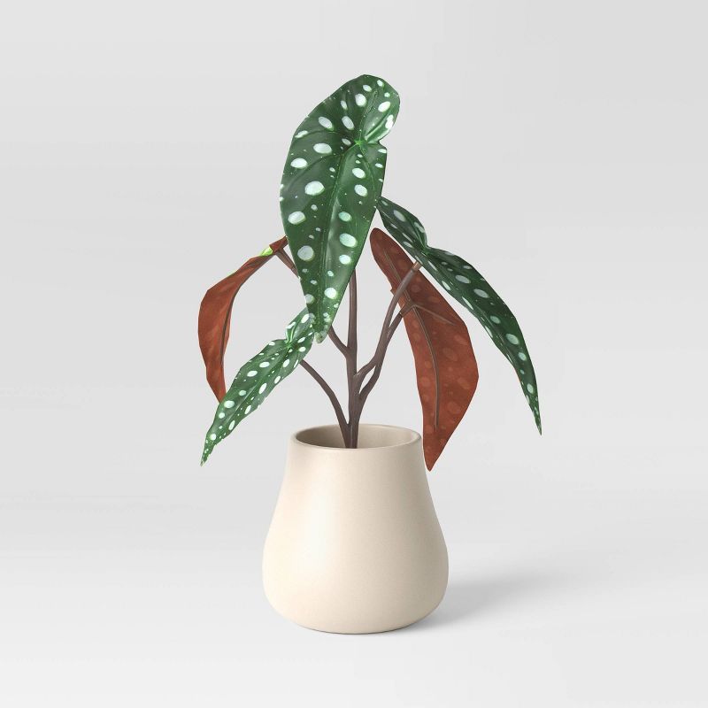 12" Artificial Polka Dot Begonia in Ceramic Pot Green - Threshold™ | Target