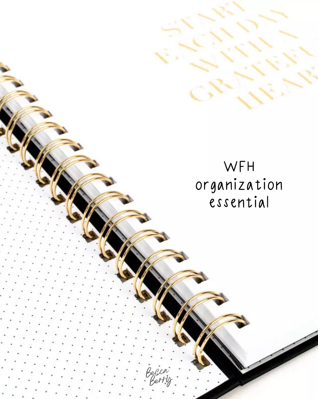 My go-to for staying organized lately 🤍

This neutral weekly + monthly planner is perfect for mapping out work, content, and everyday life without feeling overwhelming.

Simple, chic, and actually keeps me on track ✨

#LTKgrwm #LTKmorningroutine #LTKHome