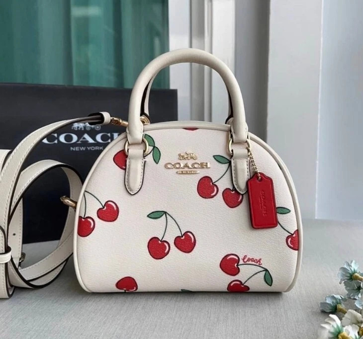 NWT Coach Sydney Satchel With Heart Cherry Print CF421 | eBay US