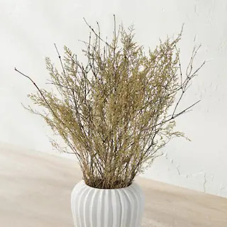 Dried Sweet Annie Bundle | Grandin Road