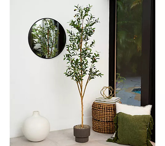 Nearly Natural 6' Artificial Olive Tree with Natural Trunk - QVC.com | QVC