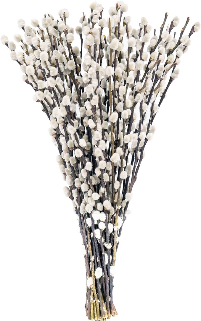 40 Stems 17.5 Inches 100% Real Natural Dried Pussy Willow Branches for Vase Pussy Willows Dried F... | Amazon (US)