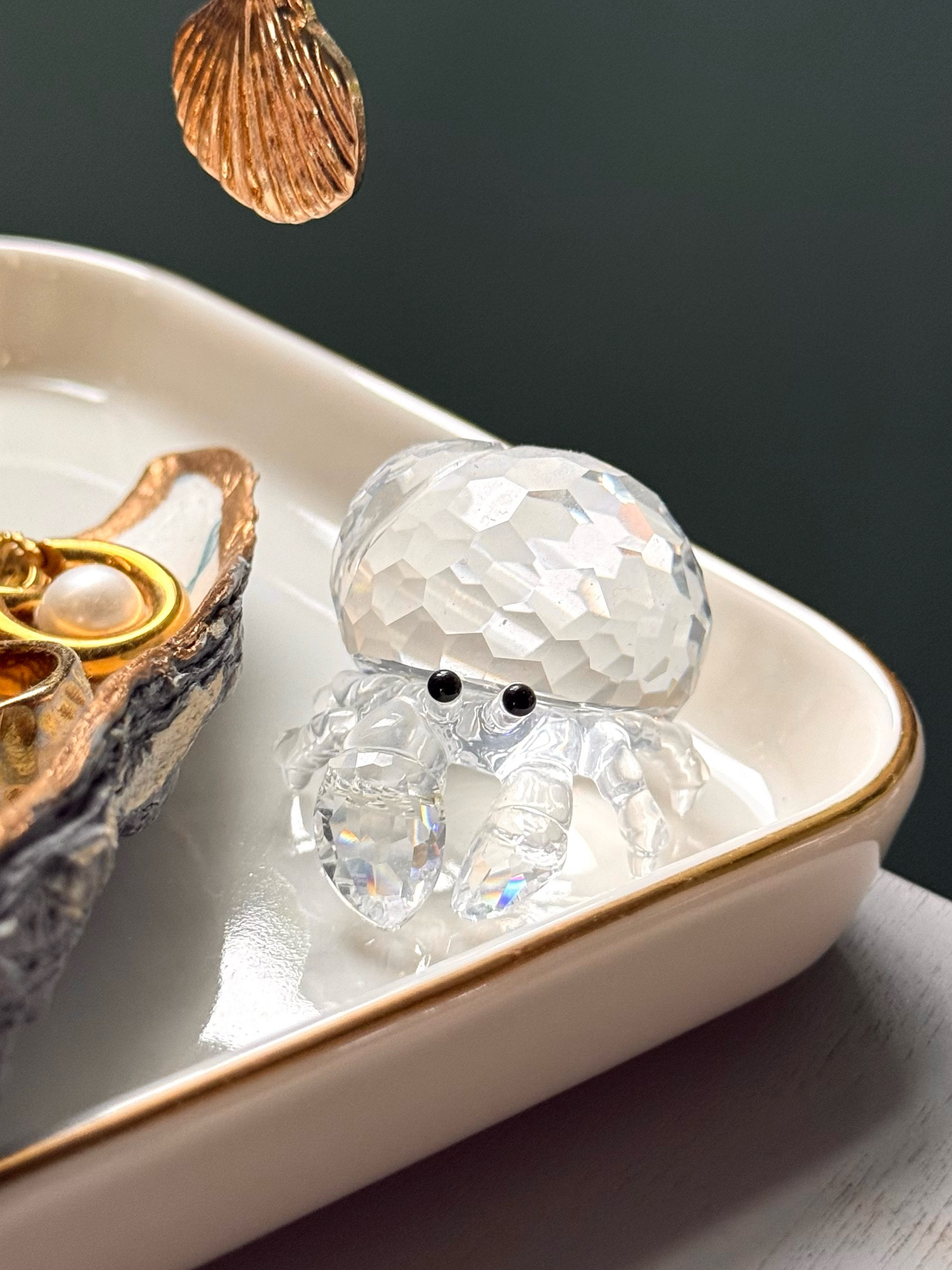 Crystal hermit crab