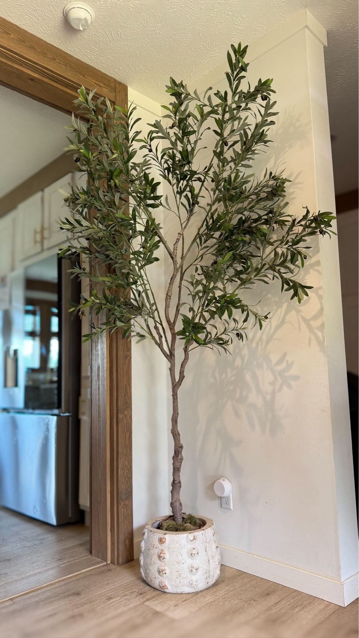 My fav olive tree! Pot is from a local store, but found some similar ones

#LTKHome