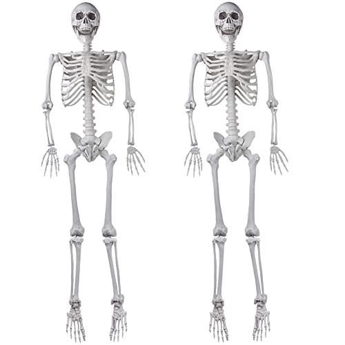 2Packs 5.4ft Halloween Human Skeletons Life Size Full Body Bones with Movable Joints for Halloween Props Spooky Party Decoration | Amazon (US)