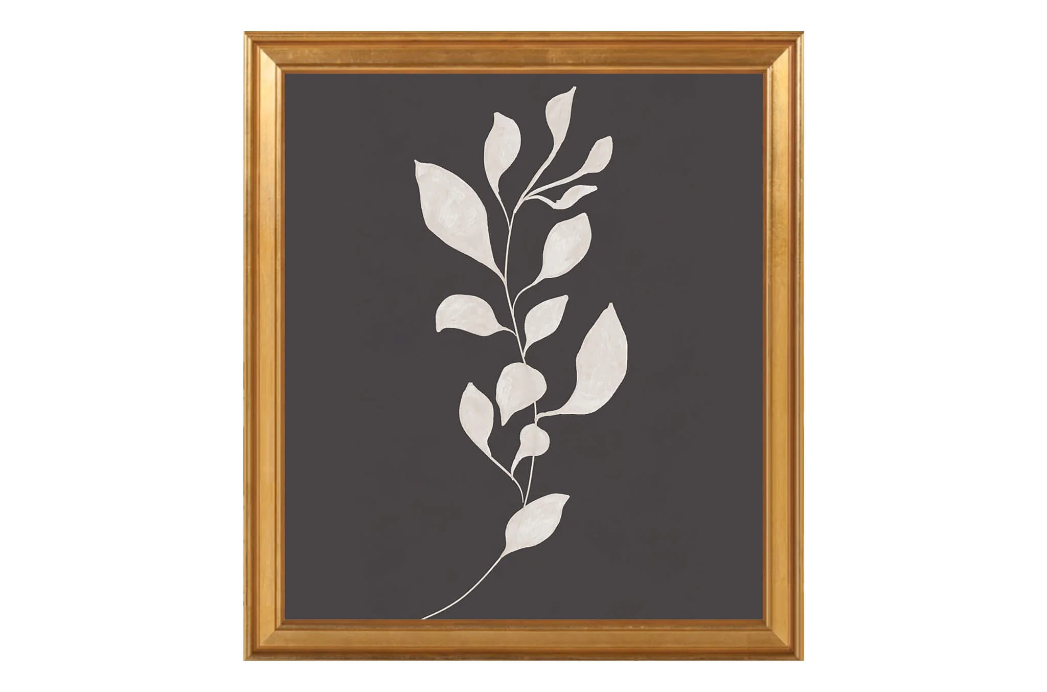 Sprig II | North and Finch