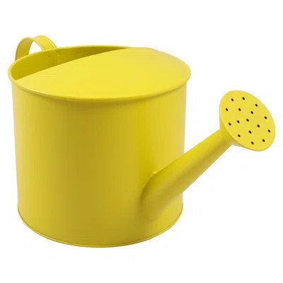 7X15" Watering Can | Wayfair North America