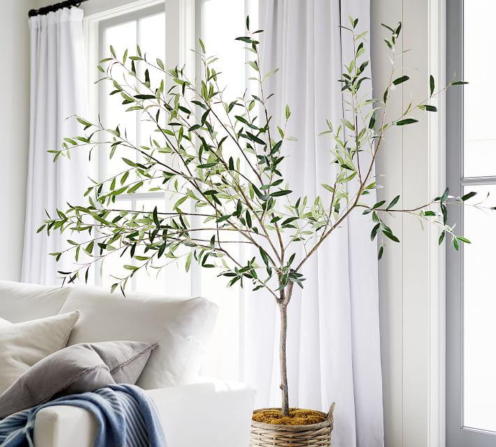 Faux Potted Olive Tree, XL | Pottery Barn (US)