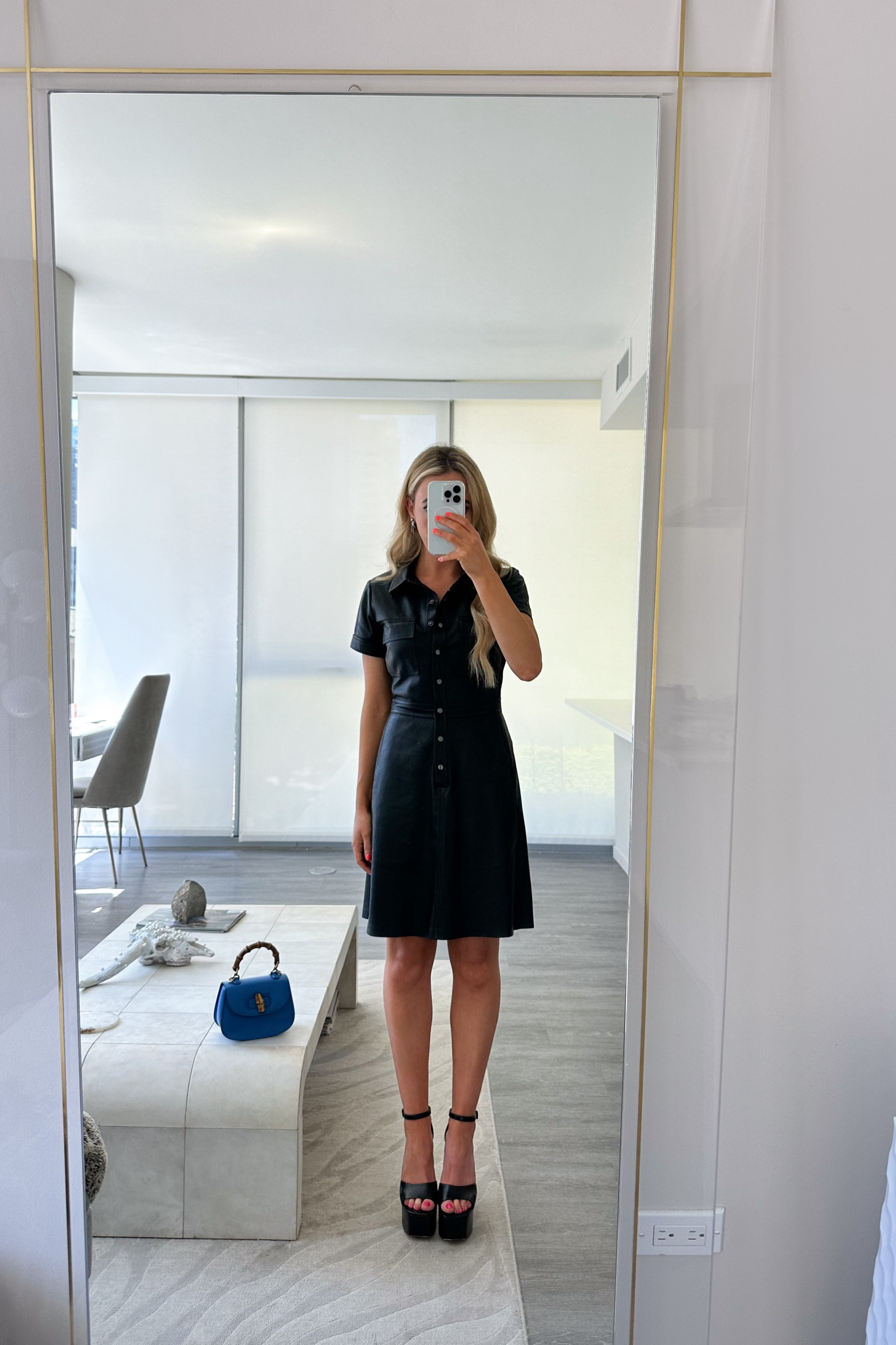 leather dress 

#LTKShoeCrush #LTKItBag #LTKStyleTip