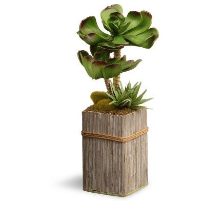 Garden Accents Artificial Succulent Plant Green 11" - National Tree Company | Target