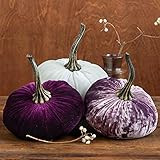 Large Velvet Pumpkins Set of 3 Includes Luxe Lilac, Plum and Ivory, Handmade Home Decor, Holiday Man | Amazon (US)